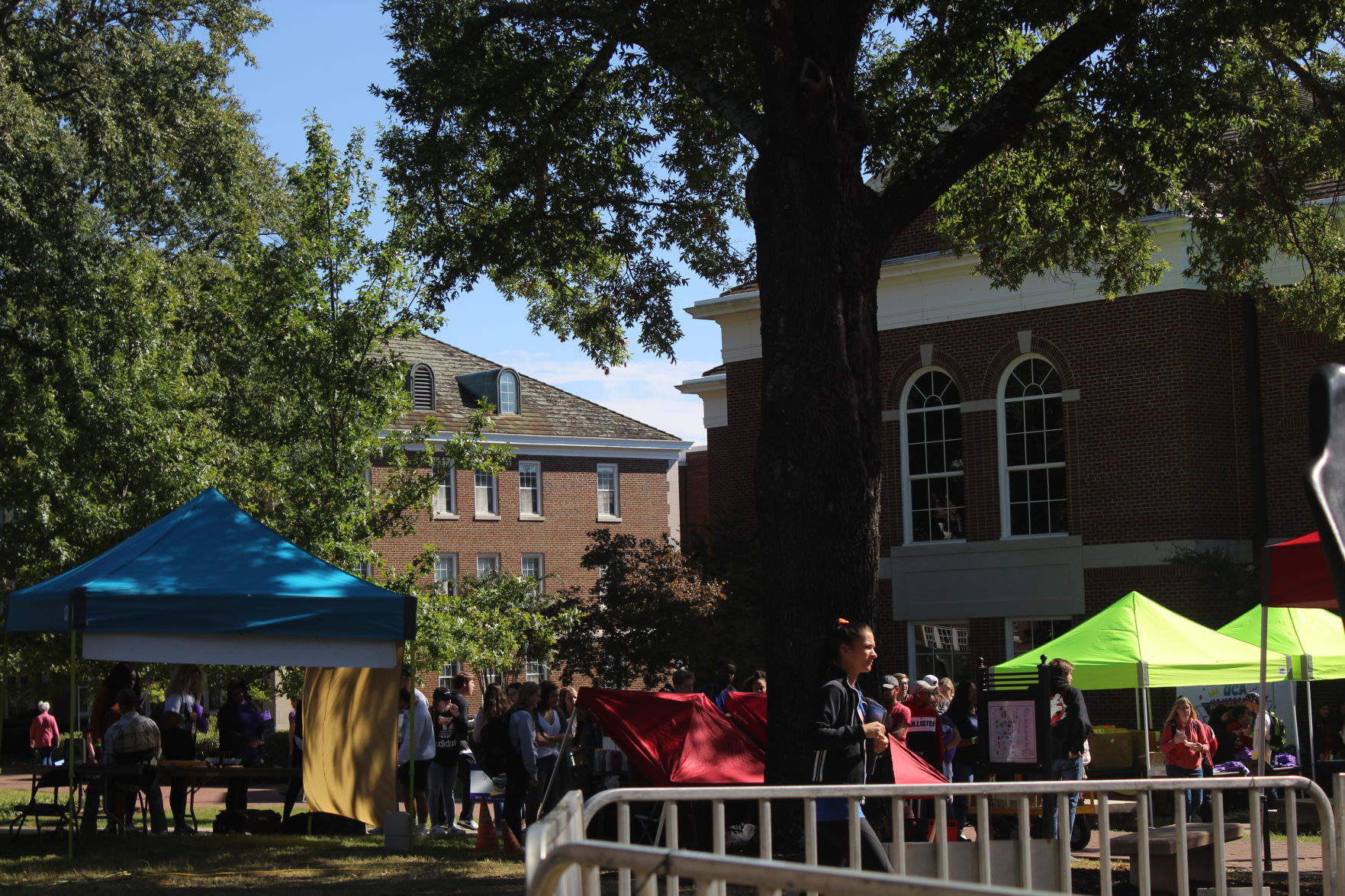 Fall Festival Photo Gallery